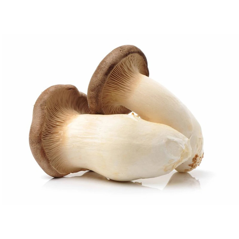 Benefits Of king Oyster Mushroom
