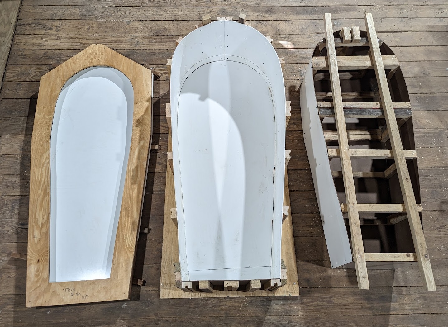 Living Coffin SETAS MUSHROOMS